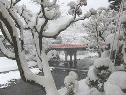 中橋雪.jpg